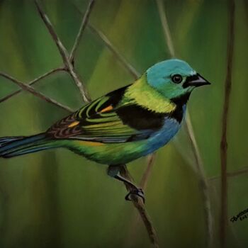 Painting titled "oiseau Brésilien" by Anny Dournon, Original Artwork, Pastel