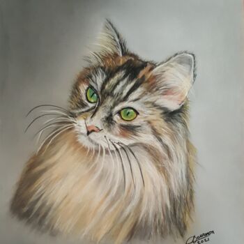 Malarstwo zatytułowany „Maine coon” autorstwa Anny Dournon, Oryginalna praca, Pastel