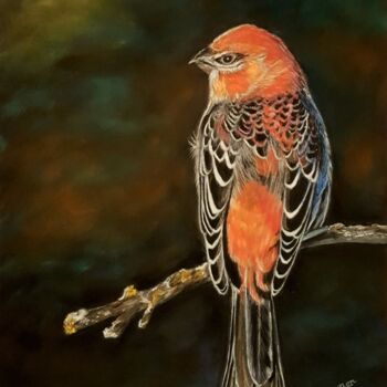 Peinture intitulée "oiseau Durbec des s…" par Anny Dournon, Œuvre d'art originale, Pastel