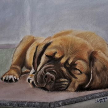 Painting titled "Chiot endormi" by Anny Dournon, Original Artwork, Pastel