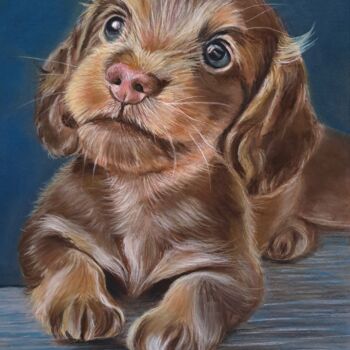 Painting titled "chiot cocker" by Anny Dournon, Original Artwork, Pastel