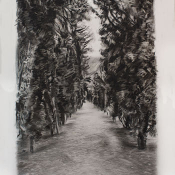 Drawing titled "The Path" by Anthony Oliver, Original Artwork, Other