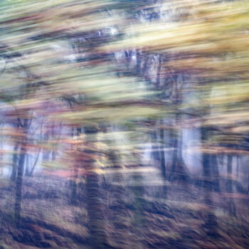 Photographie intitulée "Etna 01.11.2021" par Anthony Thenaisy, Œuvre d'art originale, Photographie numérique
