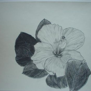 Drawing titled "Hibiscus Flower 2" by Anthony Yearwood, Original Artwork