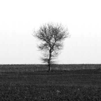 Fotografie getiteld "Lonely tree - lmtd…" door Antoine Barthelemy, Origineel Kunstwerk, Digitale fotografie