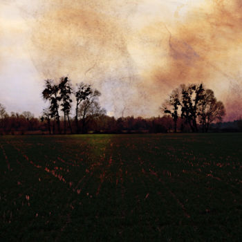Photographie intitulée "paysage" par Antoine Marelle, Œuvre d'art originale, Photographie numérique