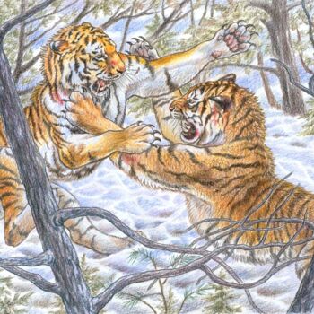 Картина под названием "«Амурские тигры»" - Антон Шкурко, Подлинное произведение искусства, Цветные карандаши