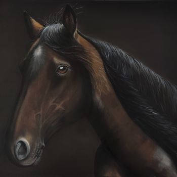 Pintura titulada "Horse Lusitano 2" por Antonina Leshchenko, Obra de arte original, Oleo
