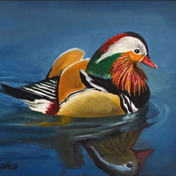 Pintura intitulada "Pato-mandarin.jpg" por Antonio Muñoz Rodríguez, Obras de arte originais, Óleo