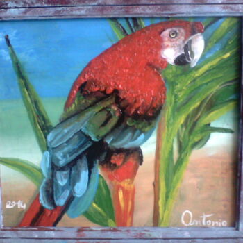 Pintura intitulada "il-pappagallo-viven…" por Antonio Cariola, Obras de arte originais