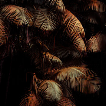 Photographie intitulée "Palm Tree III" par Antonio Schubert, Œuvre d'art originale, Photographie numérique