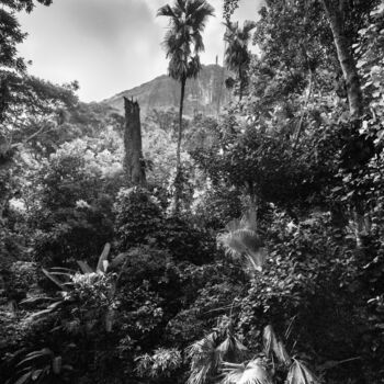 Fotografía titulada "Parque Lage II" por Antonio Schubert, Obra de arte original, Fotografía digital