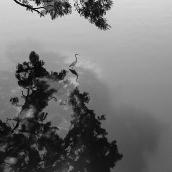 Fotografia intitulada "Lagoa" por Antonio Schubert, Obras de arte originais, Fotografia digital