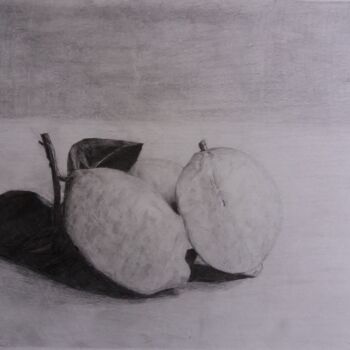 Zeichnungen mit dem Titel "Zwei Zitronen" von Antonio Visciano, Original-Kunstwerk, Bleistift