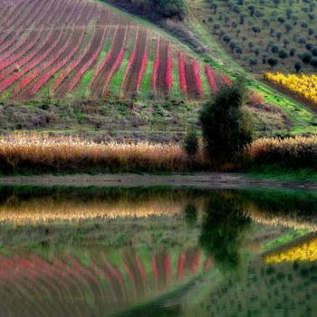 Fotografia intitolato "Riflessi Autunnali" da Antonio Castiglione, Opera d'arte originale