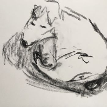 Dessin intitulée "Sleeping dog" par Anna Sadzik, Œuvre d'art originale
