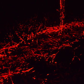 Fotografie getiteld "Série " Laser-Night…" door Ao, Origineel Kunstwerk, Digitale fotografie