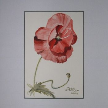 Dessin intitulée "COQUELICOT  II" par Annick Potier, Œuvre d'art originale