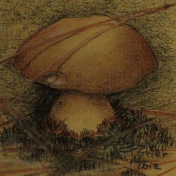 Drawing titled "Boletus pinophilus" by Annick Potier, Original Artwork, Other