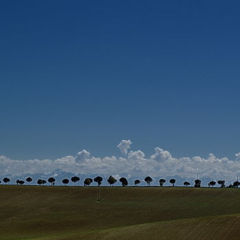 Photographie intitulée "rangée d'arbres" par Aquartistiq, Œuvre d'art originale, Photographie numérique
