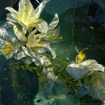 Fotografia zatytułowany „lys aquatique” autorstwa Aquartistiq, Oryginalna praca, Fotografia cyfrowa