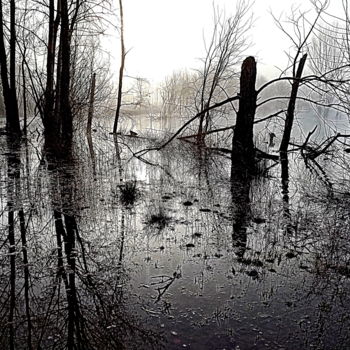 Fotografia intitulada "gravière." por Aquartistiq, Obras de arte originais, Fotografia digital