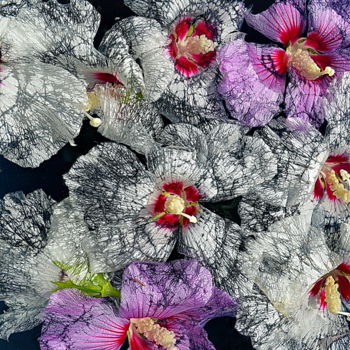 Photographie intitulée "fleurs fades" par Aquartistiq, Œuvre d'art originale, Photographie numérique