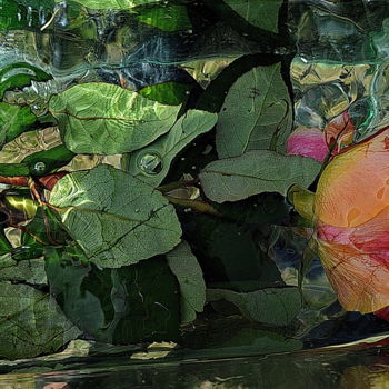 Photographie intitulée "rose seule" par Aquartistiq, Œuvre d'art originale, Photographie numérique