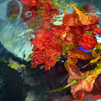 Φωτογραφία με τίτλο "...fleurs de bignon…" από Aquartistiq, Αυθεντικά έργα τέχνης, Ψηφιακή φωτογραφία