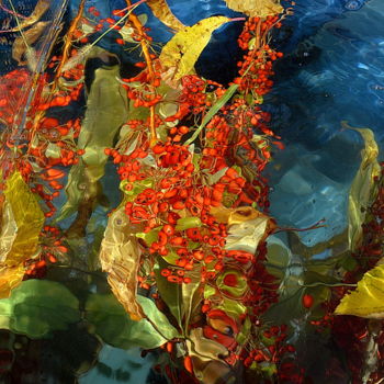 Photographie intitulée "baies et feuilles" par Aquartistiq, Œuvre d'art originale, Photographie numérique