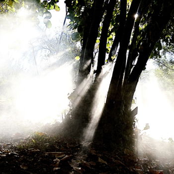 Photographie intitulée "clair obscur" par Aquartistiq, Œuvre d'art originale, Photographie numérique