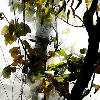 Photographie intitulée "arbre. ." par Aquartistiq, Œuvre d'art originale, Photographie numérique
