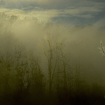 Photographie intitulée "tôt le matin" par Aquartistiq, Œuvre d'art originale, Photographie numérique