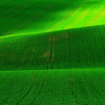 Photographie intitulée "vert" par Aquartistiq, Œuvre d'art originale, Photographie numérique