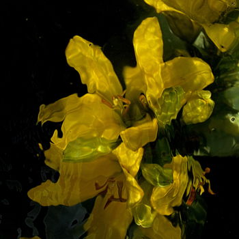 제목이 "lys jaune"인 사진 Aquartistiq로, 원작, 디지털