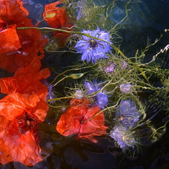 Photographie intitulée "bleuets rouges" par Aquartistiq, Œuvre d'art originale, Photographie numérique