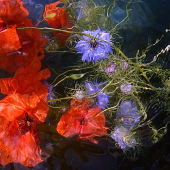 Fotografia intitulada "bleuets rouges" por Aquartistiq, Obras de arte originais, Fotografia digital