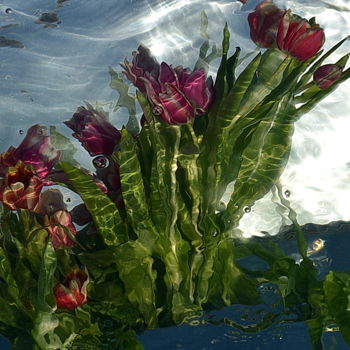 Photographie intitulée "tulipes rouges." par Aquartistiq, Œuvre d'art originale, Photographie numérique