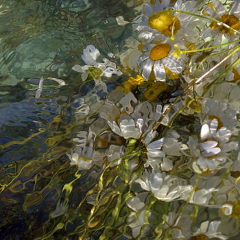Fotografía titulada "fleurs..." por Aquartistiq, Obra de arte original, Fotografía digital