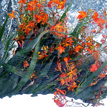 Fotografie mit dem Titel "fleurs. ." von Aquartistiq, Original-Kunstwerk, Digitale Fotografie