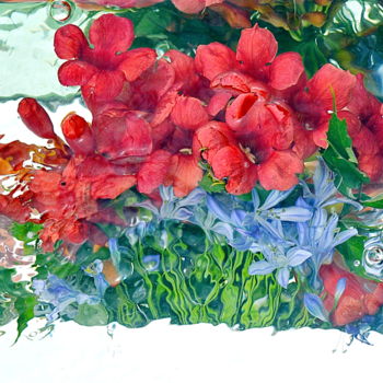「fleurs . .」というタイトルの写真撮影 Aquartistiqによって, オリジナルのアートワーク, デジタル