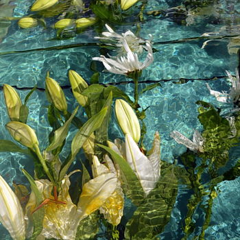 Photographie intitulée "arums.." par Aquartistiq, Œuvre d'art originale, Photographie numérique
