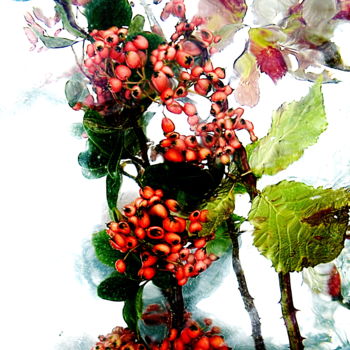 Photographie intitulée "automne.....1" par Aquartistiq, Œuvre d'art originale, Photographie numérique