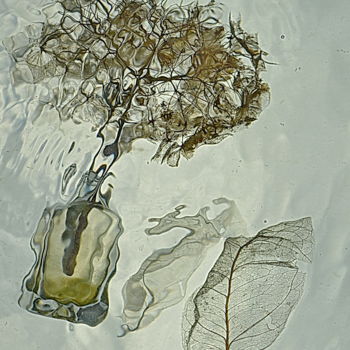 Photographie intitulée "fleurs séchées et v…" par Aquartistiq, Œuvre d'art originale, Photographie numérique