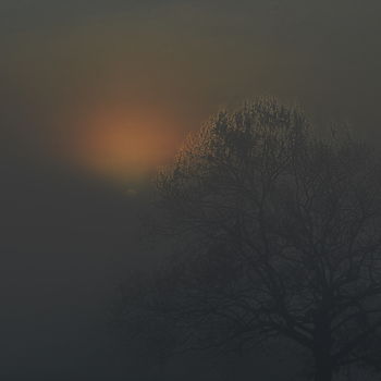 Photographie intitulée "brouillard" par Aquartistiq, Œuvre d'art originale, Photographie numérique