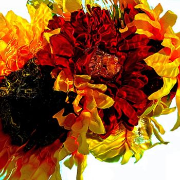 Photography titled "composition florale" by Aquartistiq, Original Artwork, Digital Photography