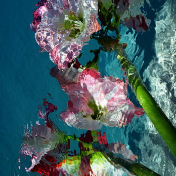 Photographie intitulée "amaryllis" par Aquartistiq, Œuvre d'art originale, Photographie numérique