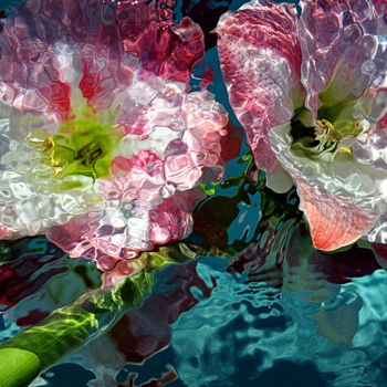 Photographie intitulée "amaryllis 2" par Aquartistiq, Œuvre d'art originale, Photographie numérique