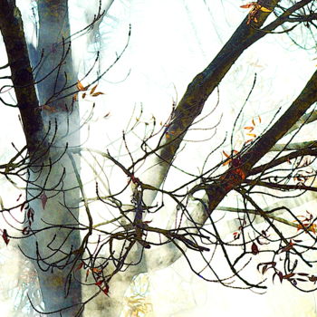 「brouillard et lumiè…」というタイトルの写真撮影 Aquartistiqによって, オリジナルのアートワーク, デジタル