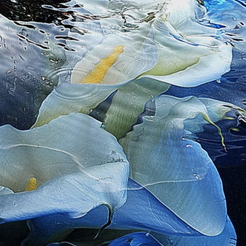 Photographie intitulée "mes . arums" par Aquartistiq, Œuvre d'art originale, Photographie numérique